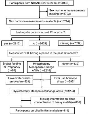 The association between blood heavy metals level and sex hormones among postmenopausal women in the US